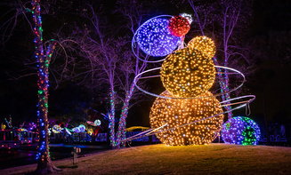 Affordable holiday lights limo rental in Winter Park, CO